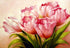 Bunch of Pink Tulips - Paint by Diamonds